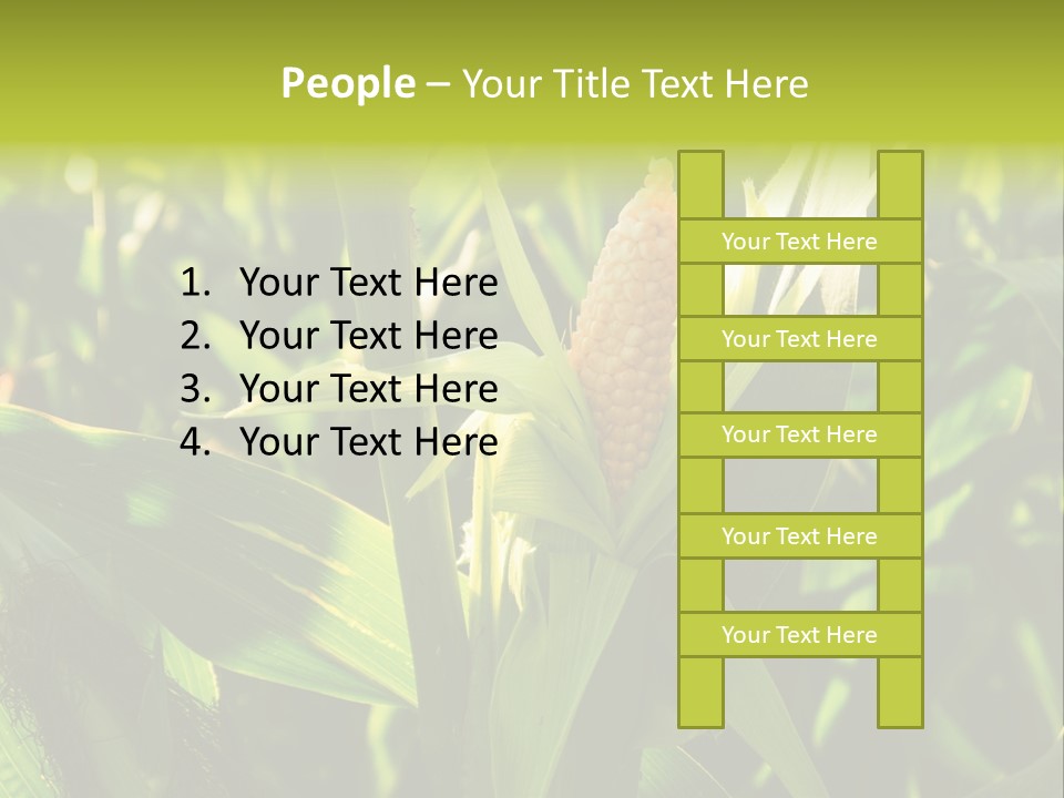 Country Food Outdoor PowerPoint Template