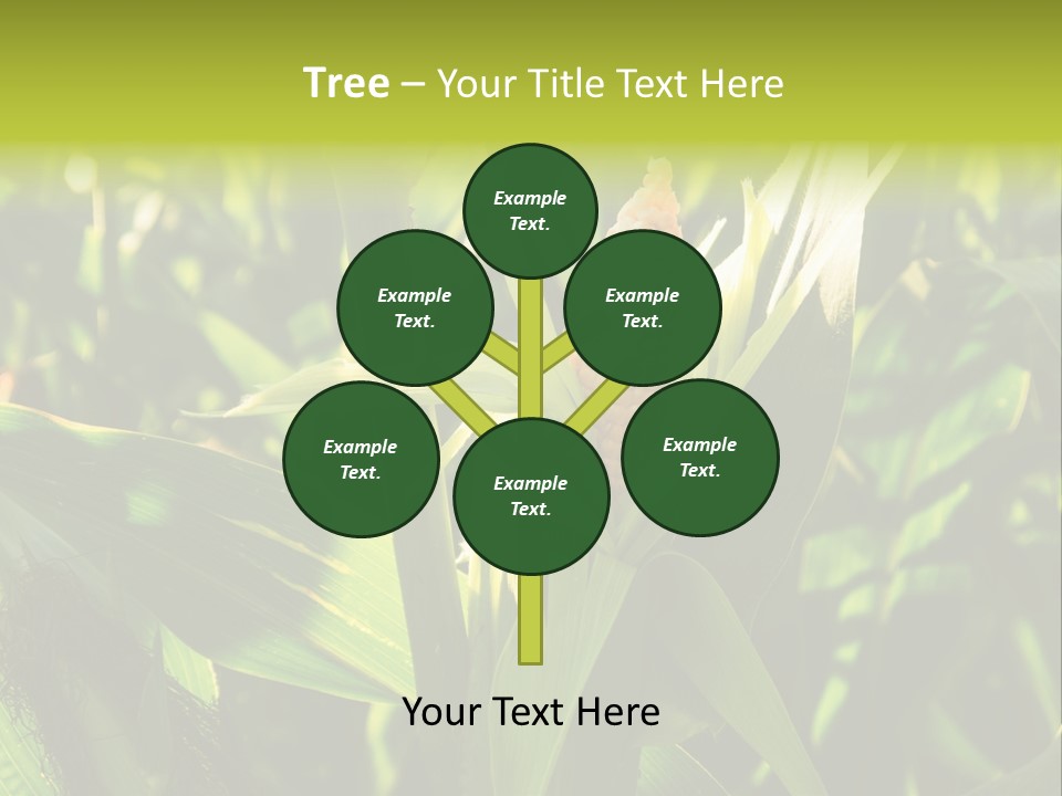 Country Food Outdoor PowerPoint Template