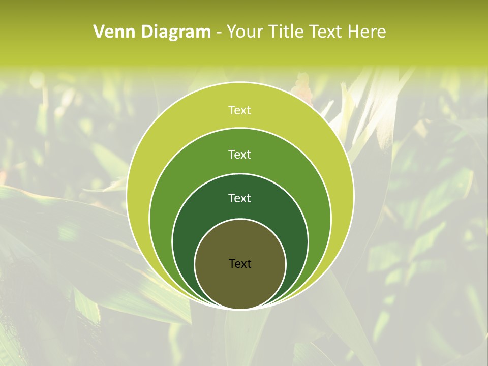 Country Food Outdoor PowerPoint Template