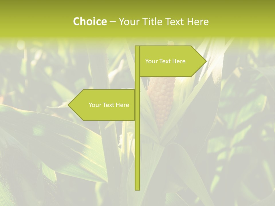 Country Food Outdoor PowerPoint Template