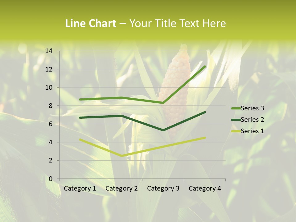 Country Food Outdoor PowerPoint Template