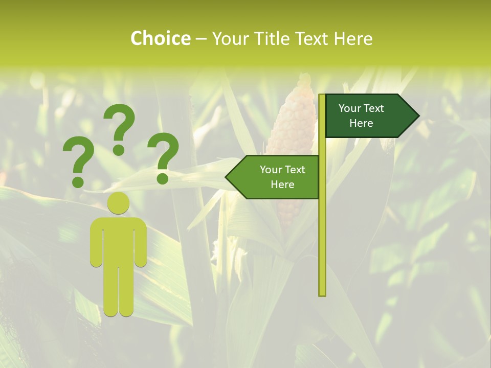 Country Food Outdoor PowerPoint Template