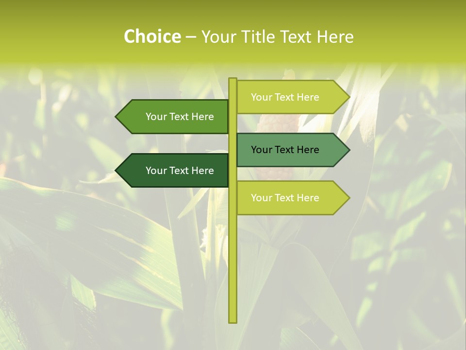 Country Food Outdoor PowerPoint Template