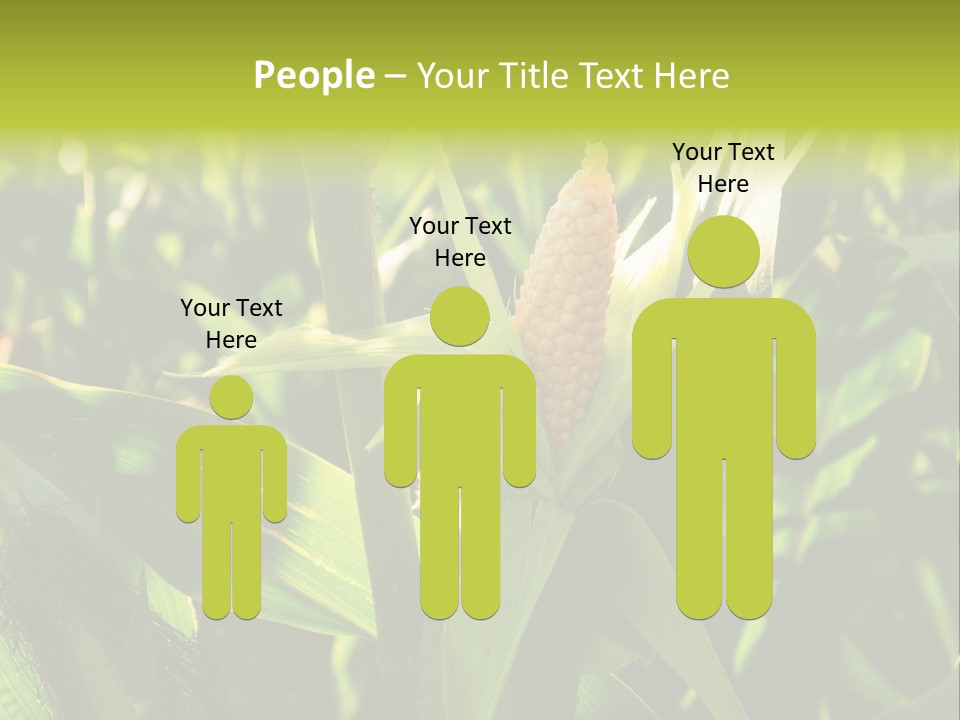 Country Food Outdoor PowerPoint Template