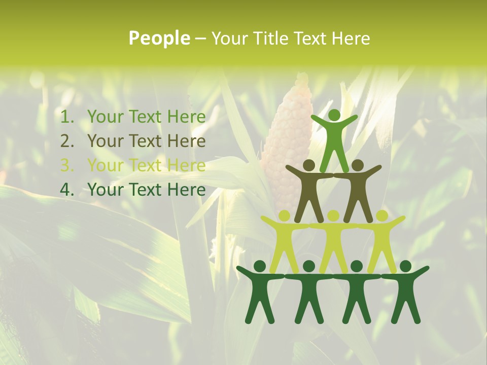 Country Food Outdoor PowerPoint Template