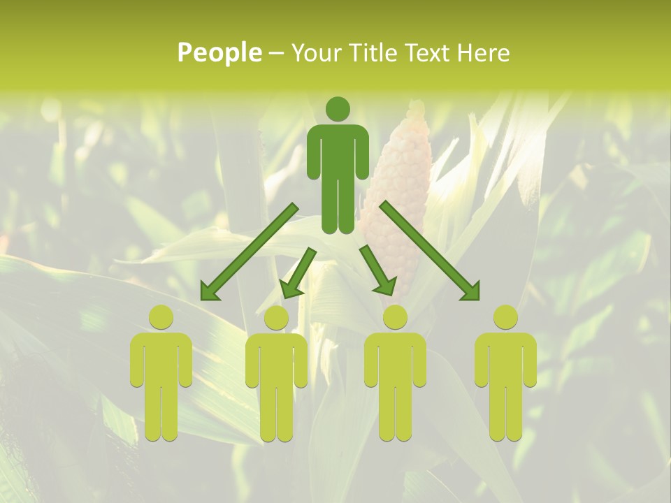 Country Food Outdoor PowerPoint Template