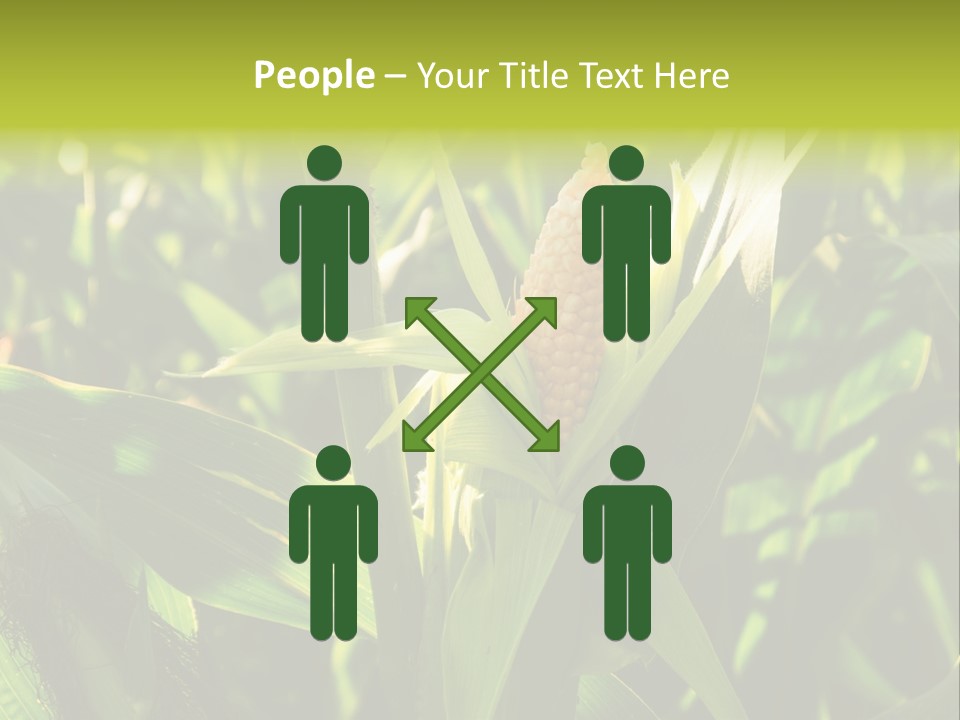 Country Food Outdoor PowerPoint Template