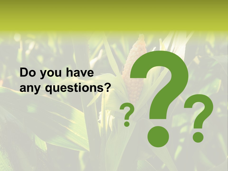 Country Food Outdoor PowerPoint Template