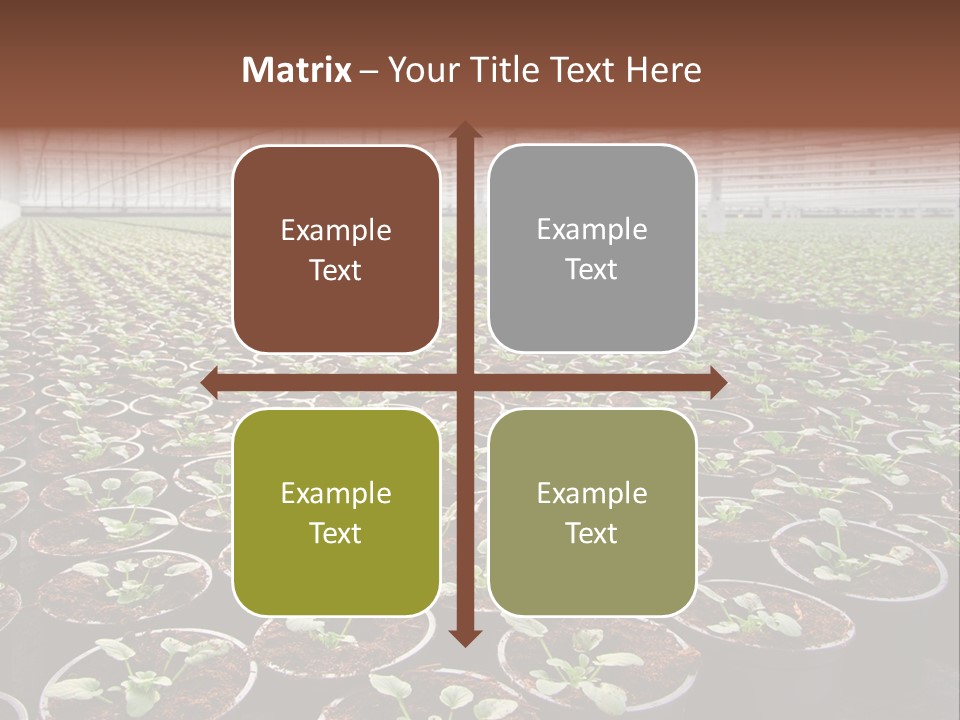 Conservatory Controlled Dutch PowerPoint Template