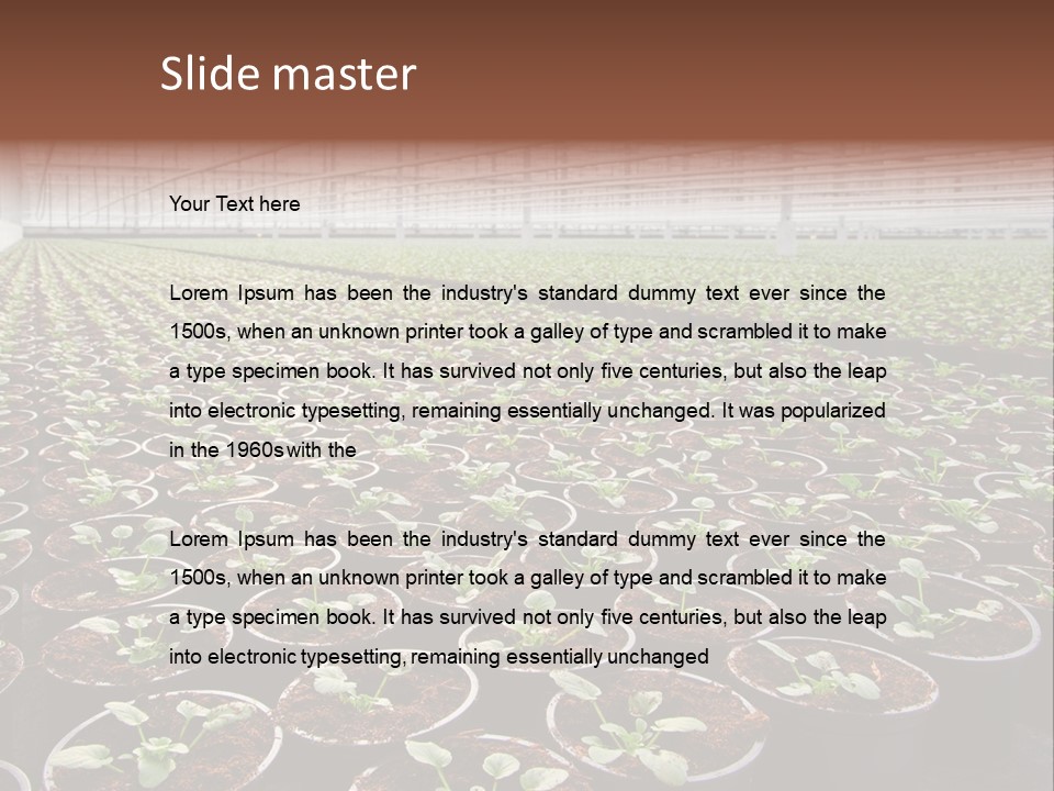 Conservatory Controlled Dutch PowerPoint Template