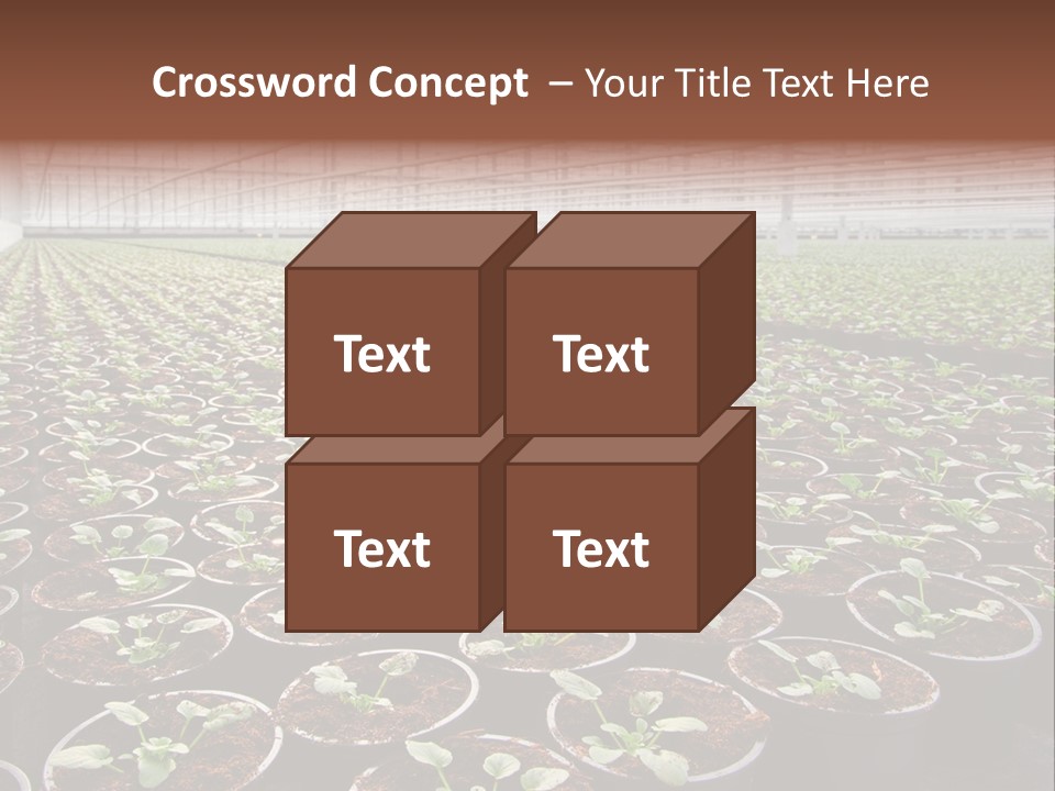 Conservatory Controlled Dutch PowerPoint Template
