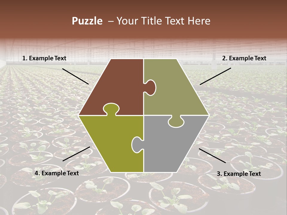 Conservatory Controlled Dutch PowerPoint Template