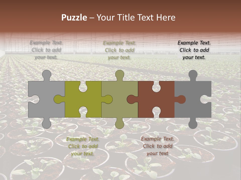 Conservatory Controlled Dutch PowerPoint Template