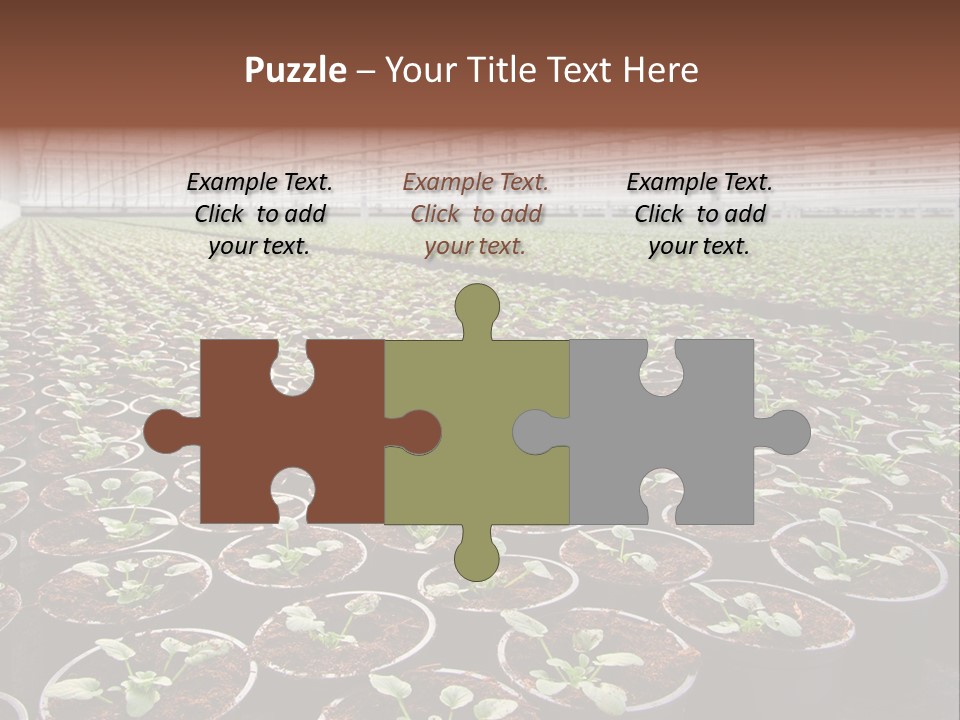 Conservatory Controlled Dutch PowerPoint Template