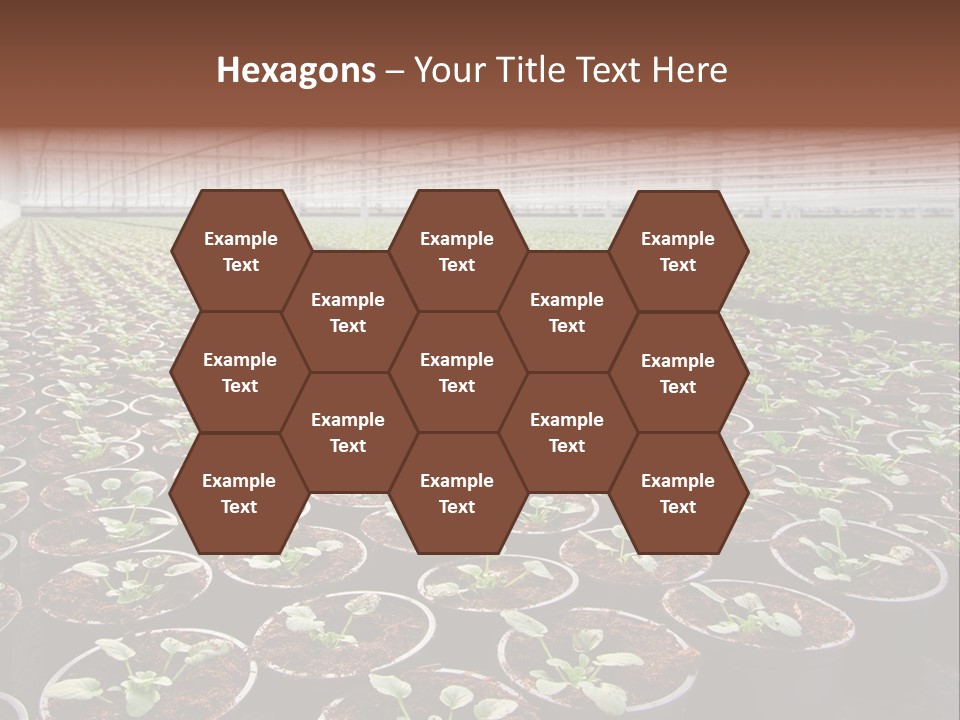 Conservatory Controlled Dutch PowerPoint Template