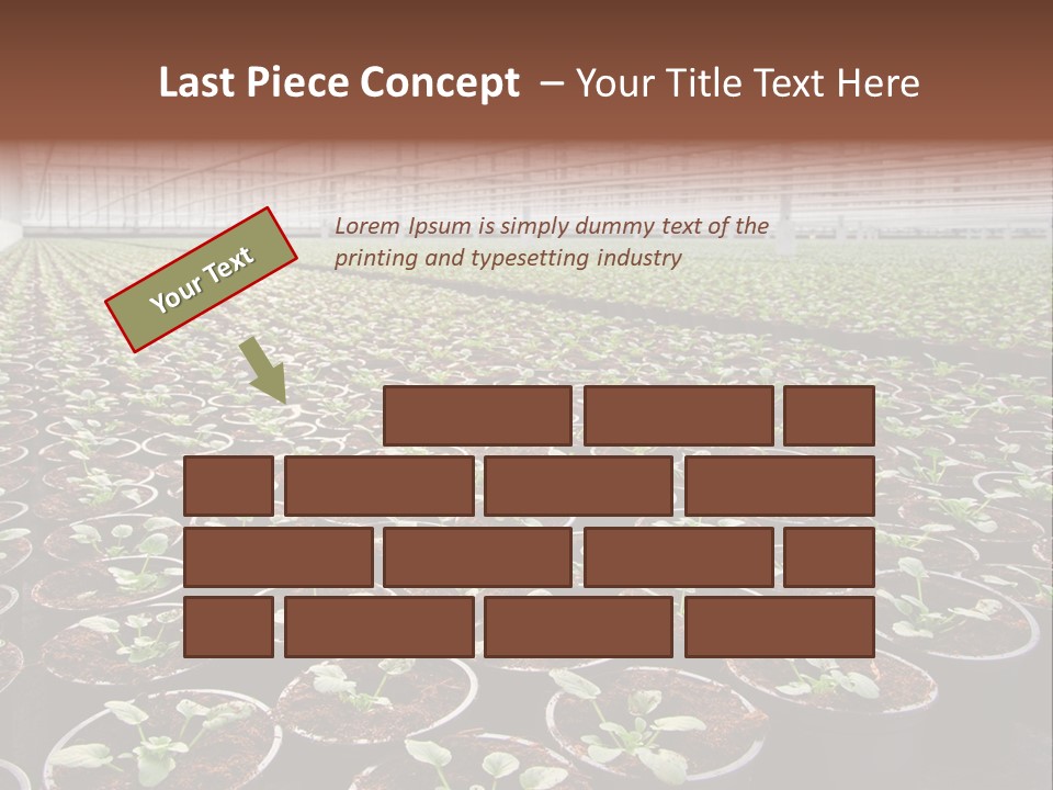 Conservatory Controlled Dutch PowerPoint Template