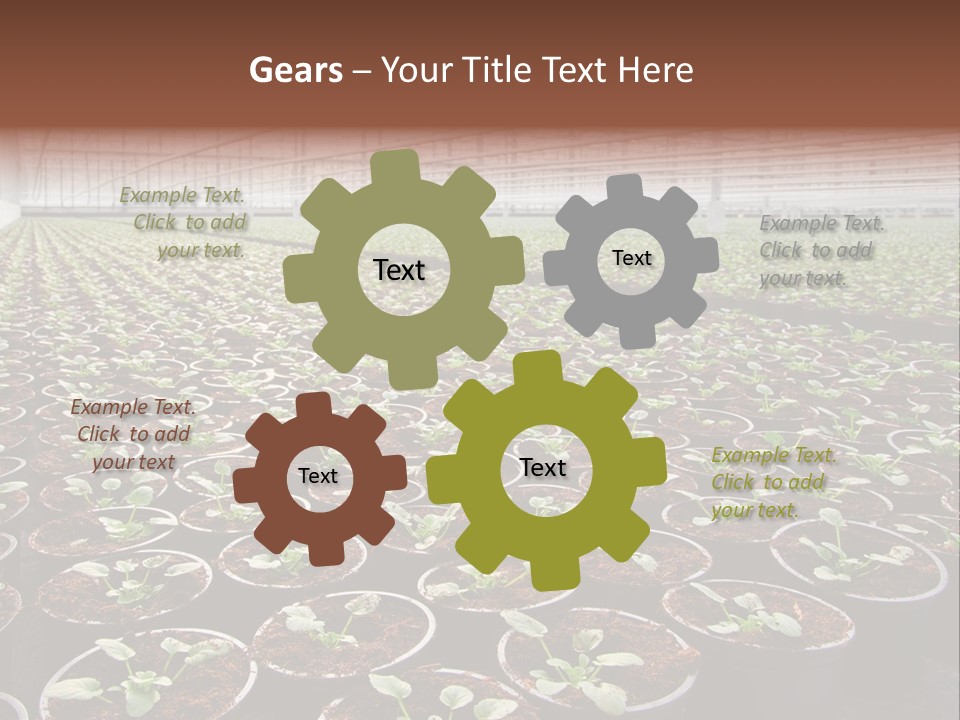 Conservatory Controlled Dutch PowerPoint Template