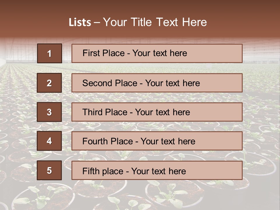 Conservatory Controlled Dutch PowerPoint Template