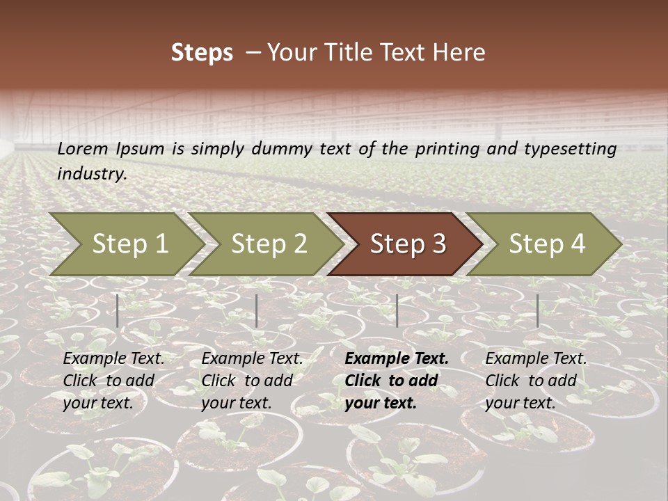 Conservatory Controlled Dutch PowerPoint Template