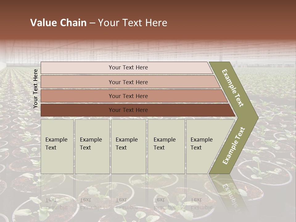 Conservatory Controlled Dutch PowerPoint Template