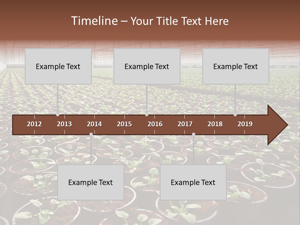 Conservatory Controlled Dutch PowerPoint Template
