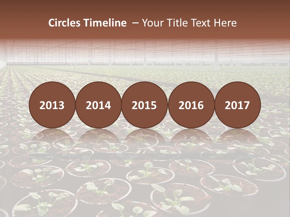 Conservatory Controlled Dutch PowerPoint Template