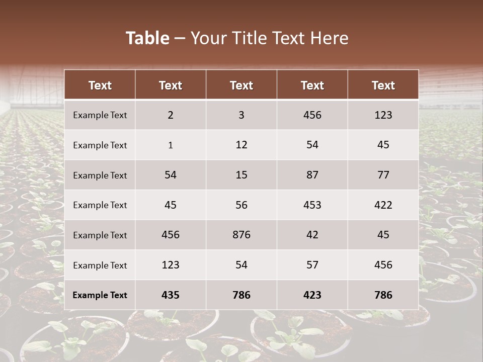 Conservatory Controlled Dutch PowerPoint Template