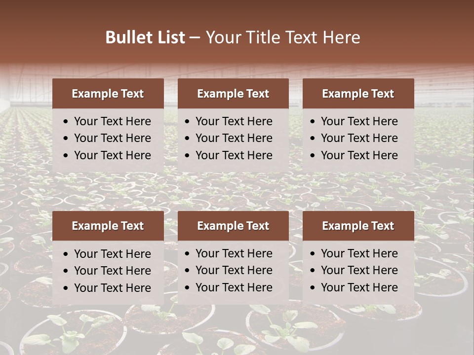 Conservatory Controlled Dutch PowerPoint Template