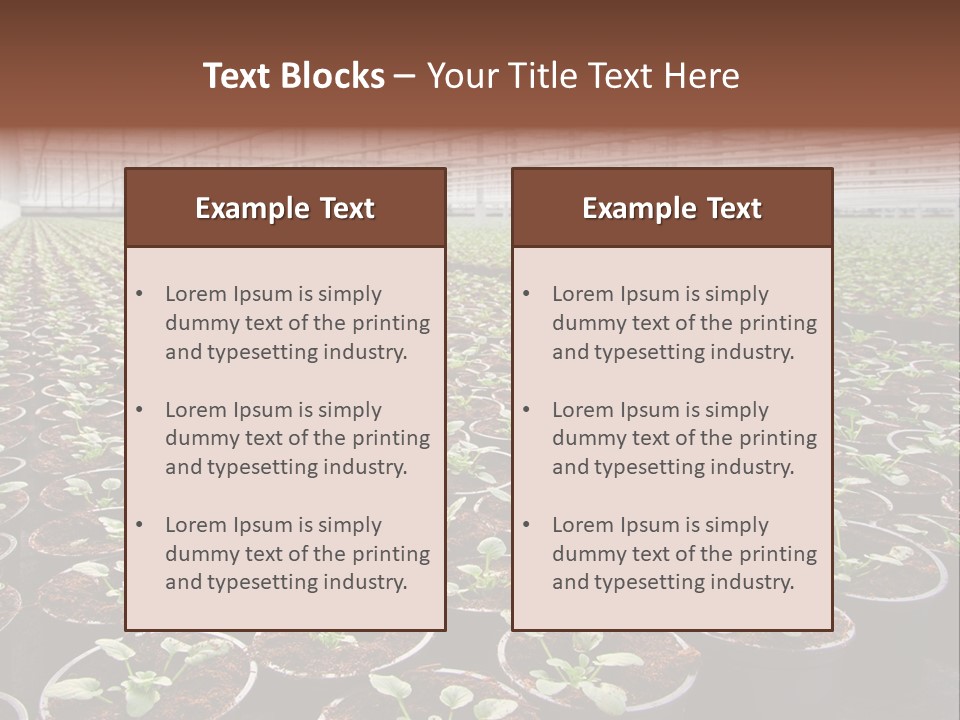 Conservatory Controlled Dutch PowerPoint Template
