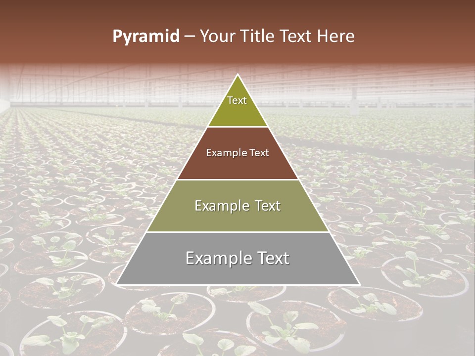 Conservatory Controlled Dutch PowerPoint Template
