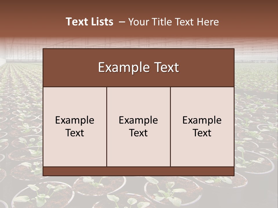 Conservatory Controlled Dutch PowerPoint Template