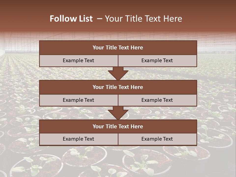 Conservatory Controlled Dutch PowerPoint Template