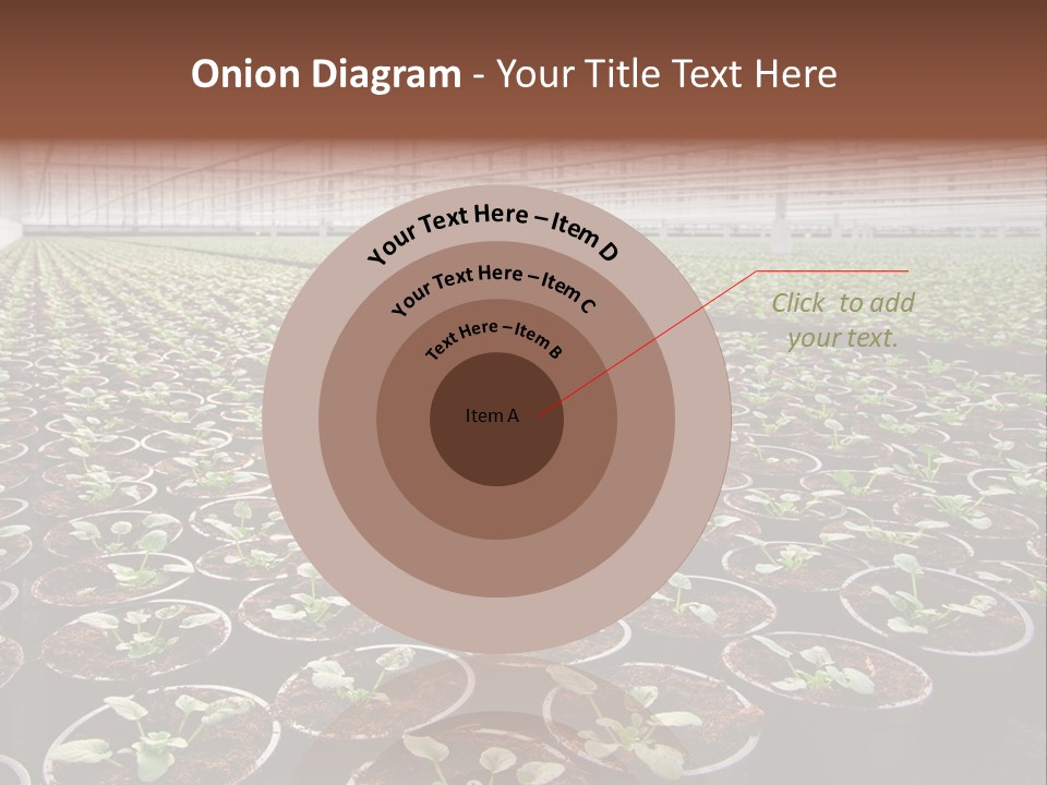 Conservatory Controlled Dutch PowerPoint Template