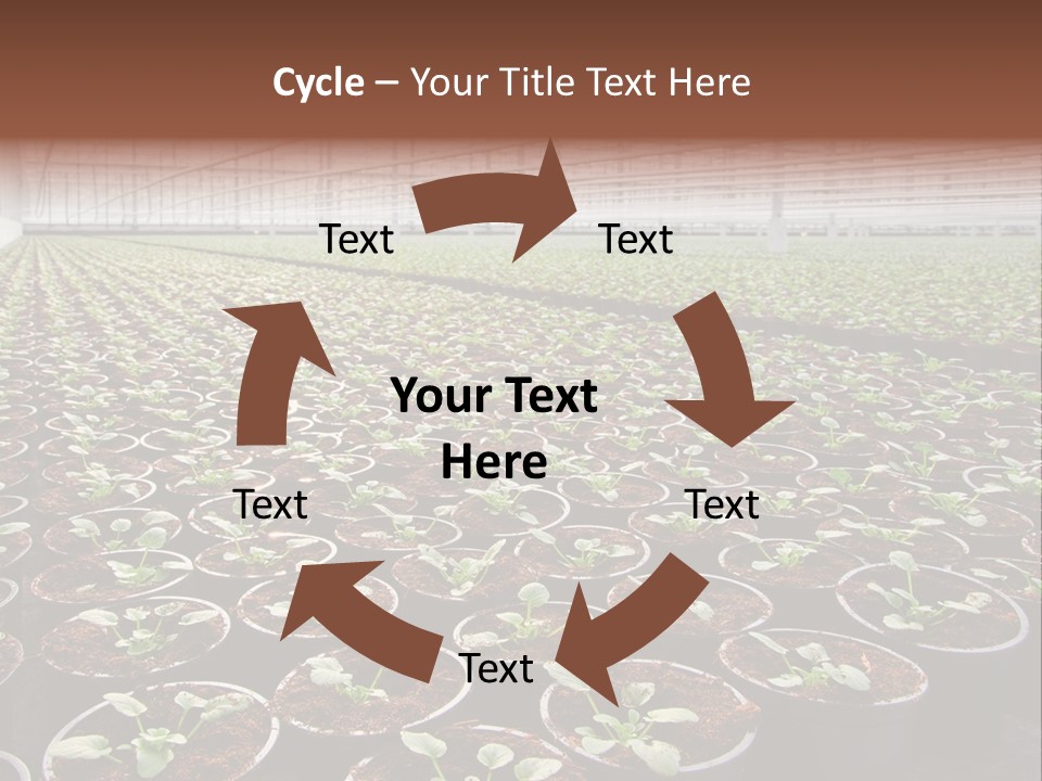 Conservatory Controlled Dutch PowerPoint Template