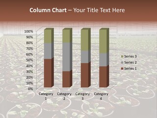 Conservatory Controlled Dutch PowerPoint Template