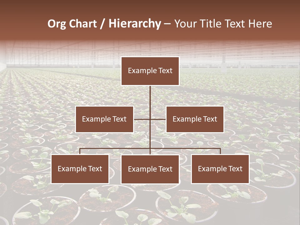 Conservatory Controlled Dutch PowerPoint Template