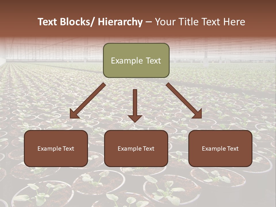 Conservatory Controlled Dutch PowerPoint Template