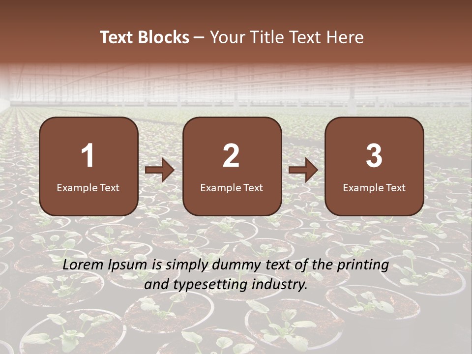Conservatory Controlled Dutch PowerPoint Template
