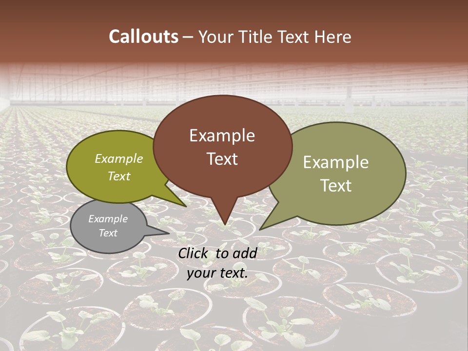 Conservatory Controlled Dutch PowerPoint Template