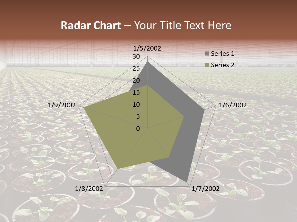Conservatory Controlled Dutch PowerPoint Template