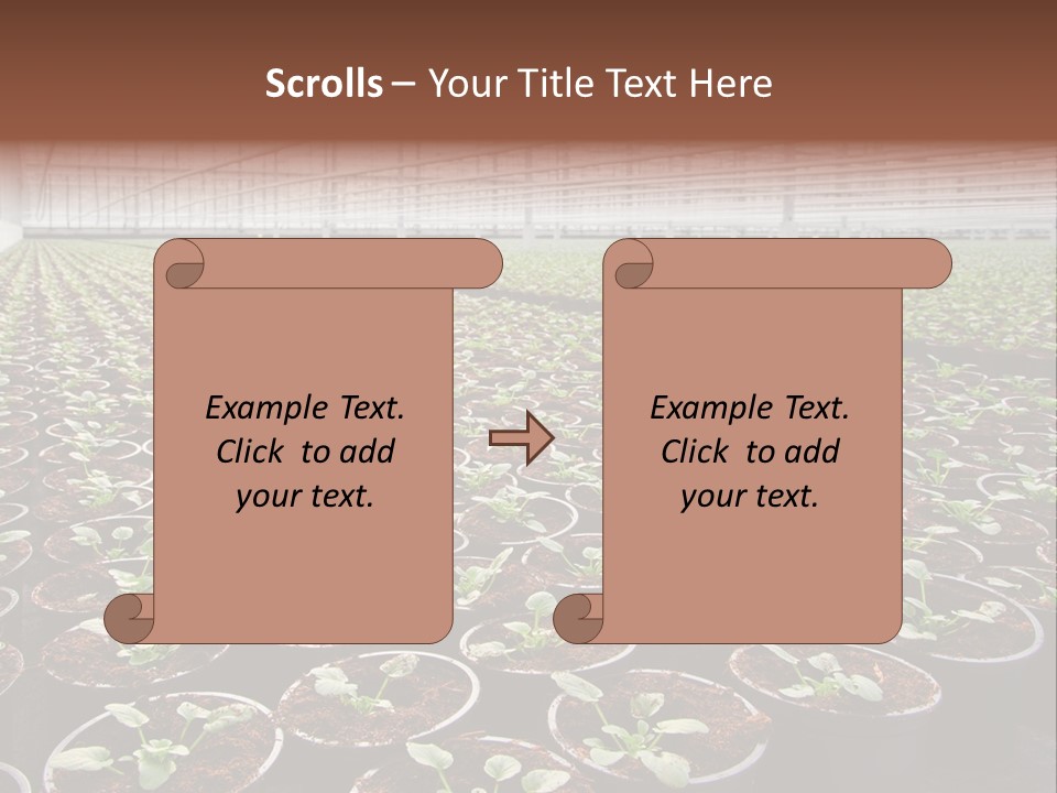 Conservatory Controlled Dutch PowerPoint Template