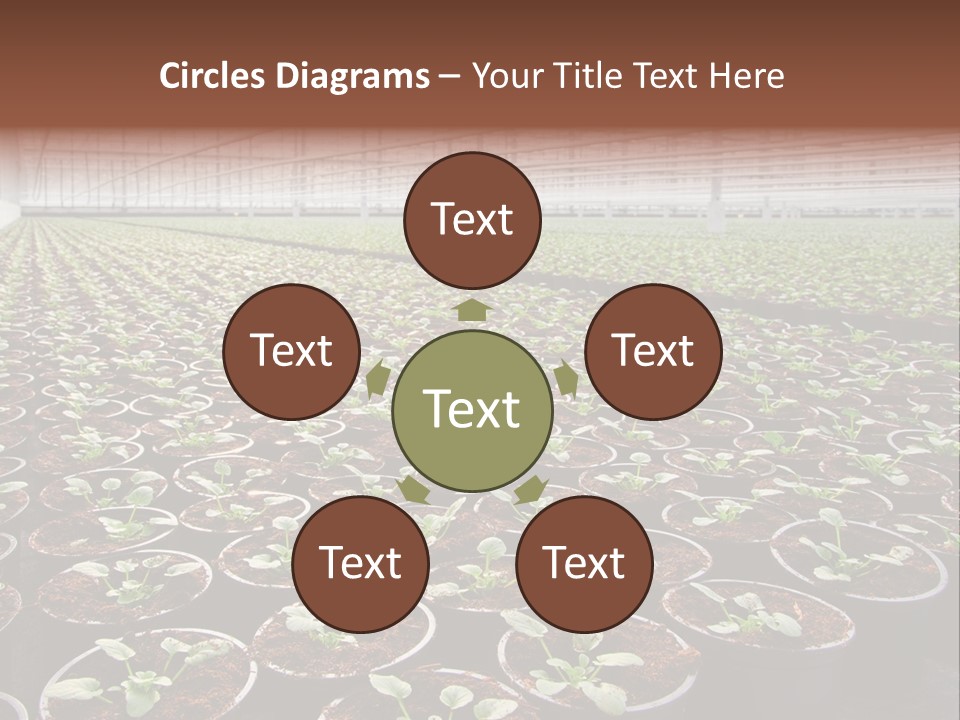 Conservatory Controlled Dutch PowerPoint Template