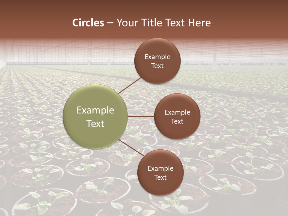 Conservatory Controlled Dutch PowerPoint Template