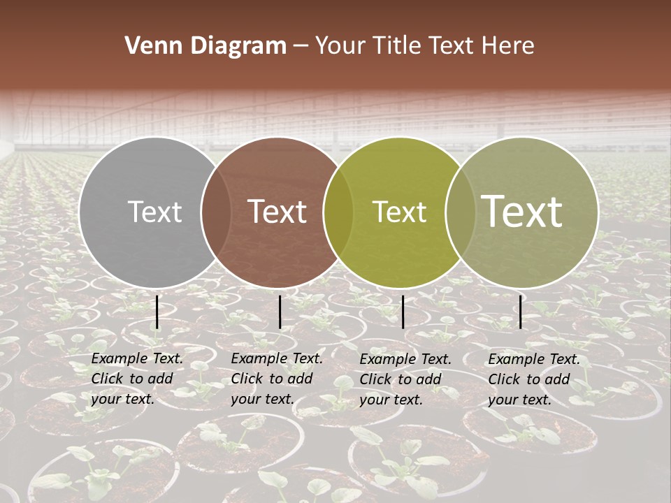 Conservatory Controlled Dutch PowerPoint Template