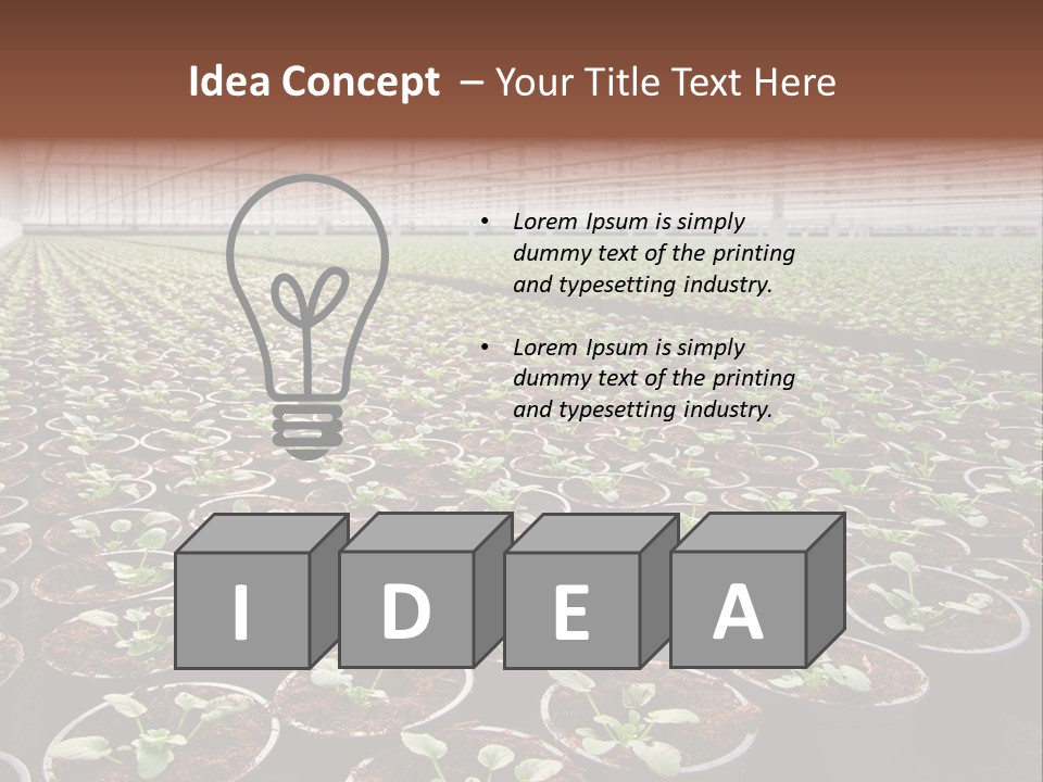 Conservatory Controlled Dutch PowerPoint Template