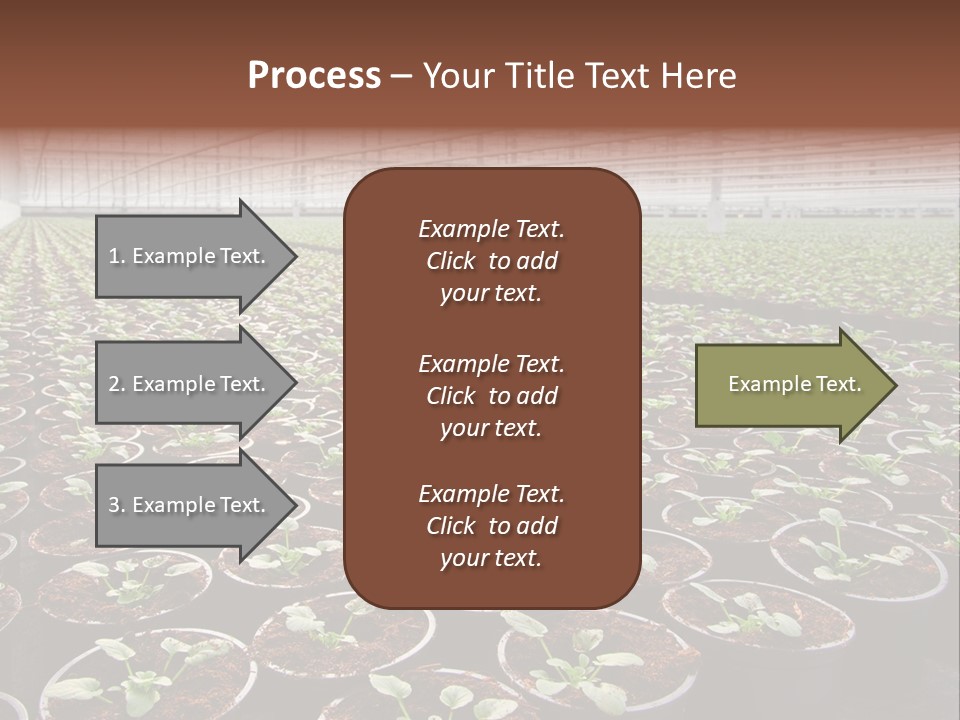 Conservatory Controlled Dutch PowerPoint Template