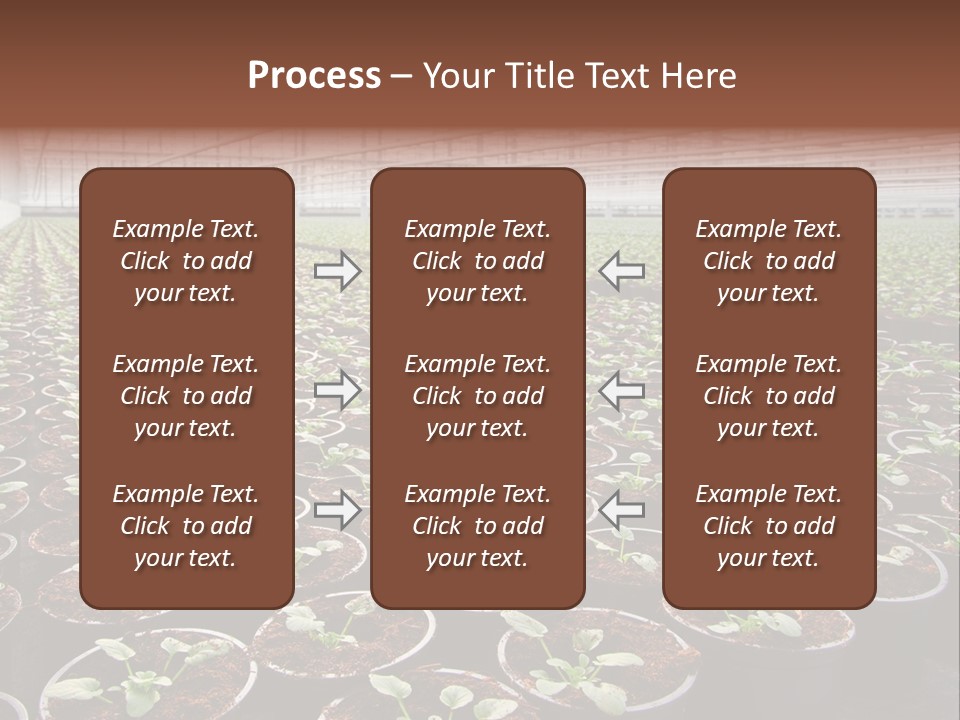 Conservatory Controlled Dutch PowerPoint Template