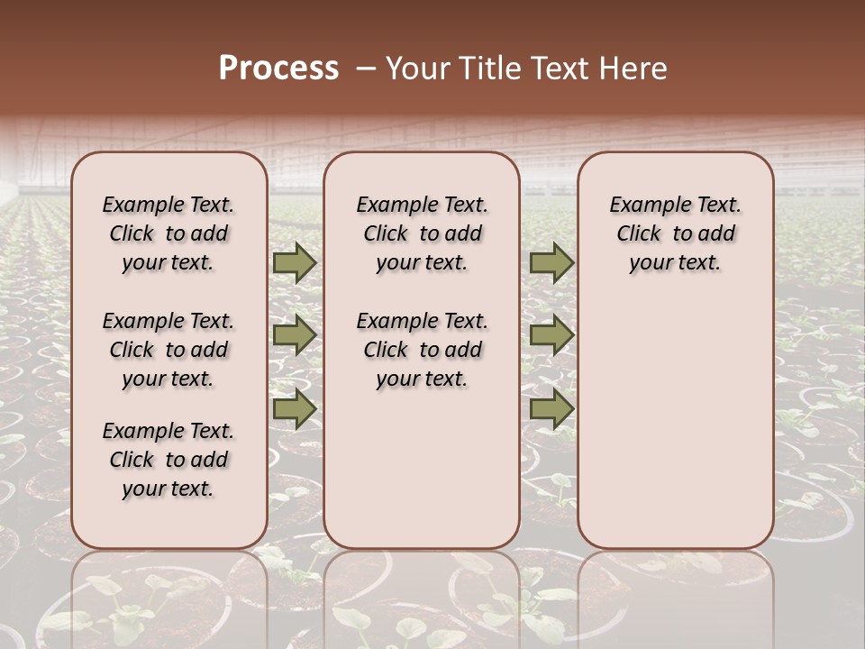 Conservatory Controlled Dutch PowerPoint Template