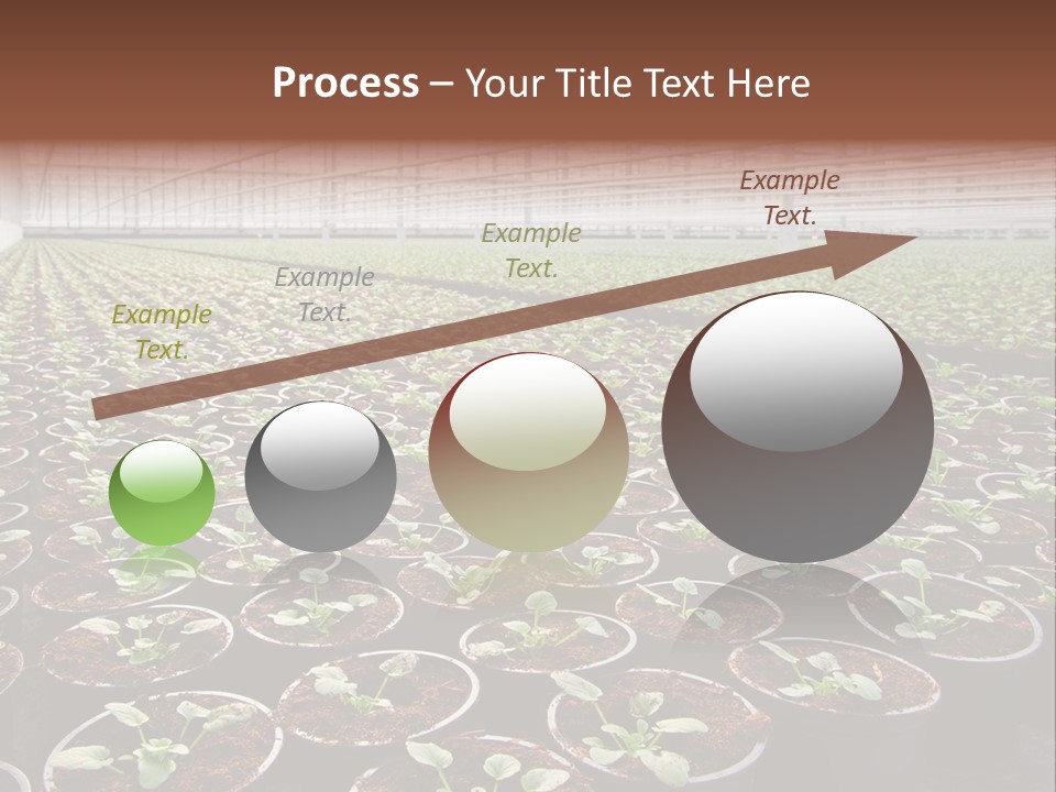 Conservatory Controlled Dutch PowerPoint Template