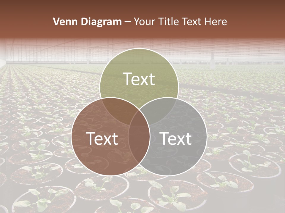 Conservatory Controlled Dutch PowerPoint Template